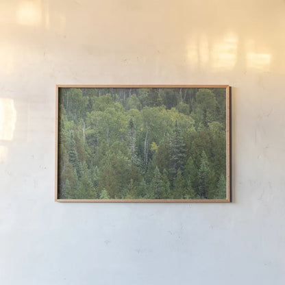 Superior National Forest III by Alan Majchrowicz. shown as a paper print in a natural frame. Available as a archival giclee rolled canvas, fine art paper, or poster print. SKU 52755i.