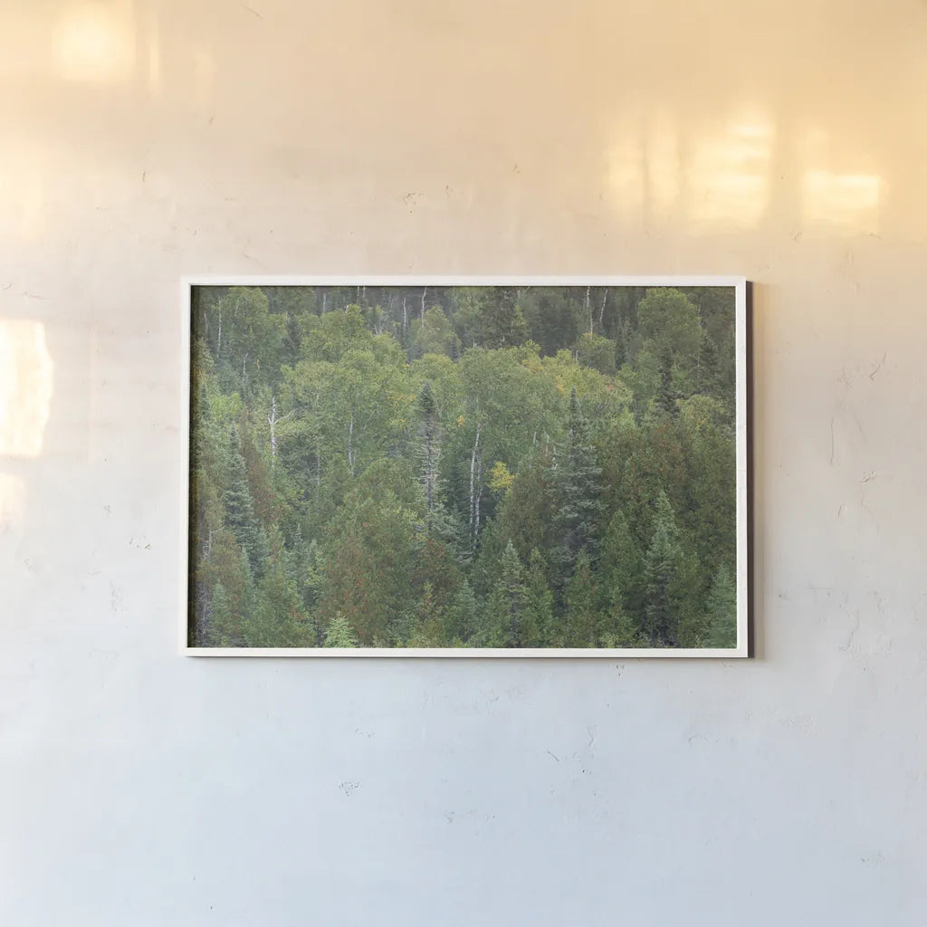 Superior National Forest III by Alan Majchrowicz. shown as a paper print in a white frame. Available as a archival giclee rolled canvas, fine art paper, or poster print. SKU 52755i.