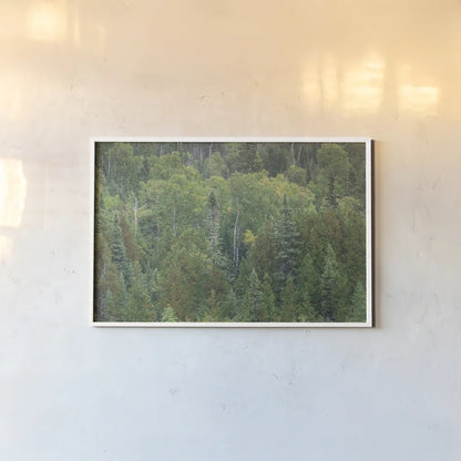 Superior National Forest III by Alan Majchrowicz. shown as a paper print in a white frame. Available as a archival giclee rolled canvas, fine art paper, or poster print. SKU 52755i.