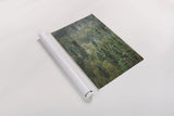 Superior National Forest IV by Alan Majchrowicz. shown as a rolled paper print. Available as archival giclee rolled canvas, fine art paper, or poster print. SKU 52756h.