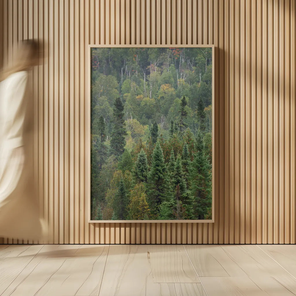 Superior National Forest IV by Alan Majchrowicz. shown as over sized large wall art. Available as an archival giclee rolled canvas, fine art paper, or poster print. SKU 52756h.