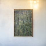 Superior National Forest IV by Alan Majchrowicz. shown as a paper print in a natural frame. Available as a archival giclee rolled canvas, fine art paper, or poster print. SKU 52756h.