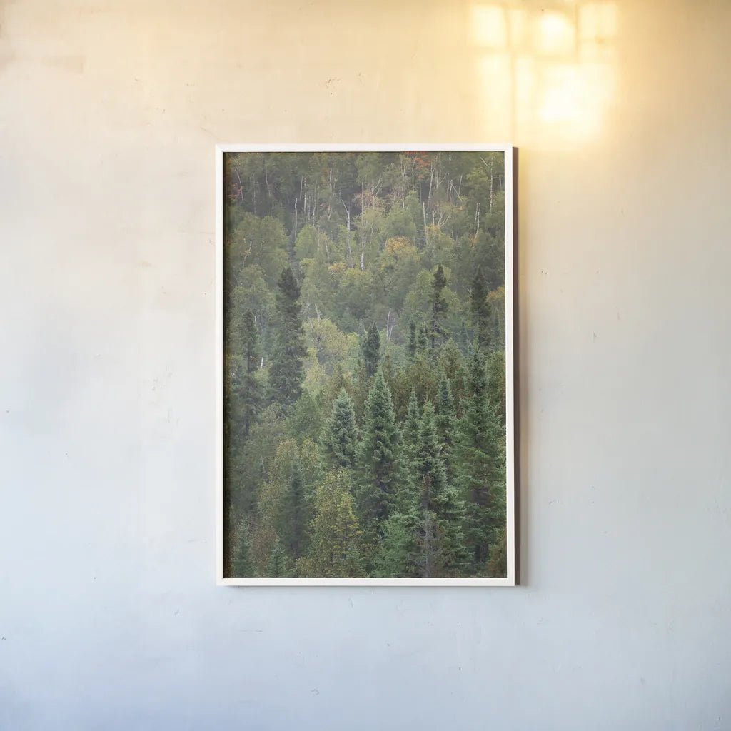 Superior National Forest IV by Alan Majchrowicz. shown as a paper print in a white frame. Available as a archival giclee rolled canvas, fine art paper, or poster print. SKU 52756h.