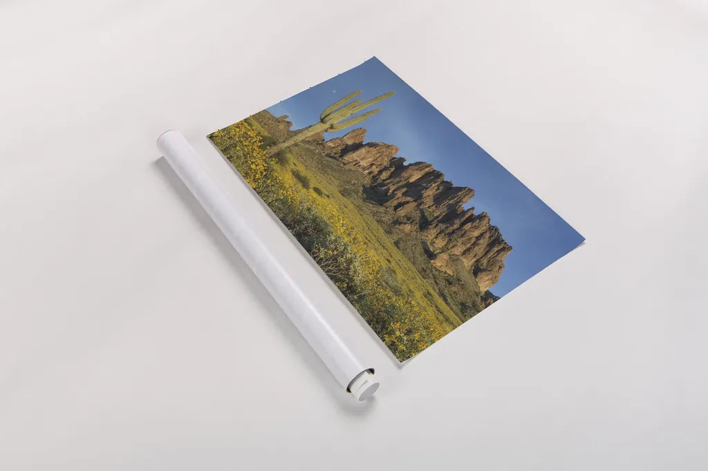 Superstition Mountains Saguaro by Alan Majchrowicz. shown as a rolled paper print. Available as archival giclee rolled canvas, fine art paper, or poster print. SKU 84039i.
