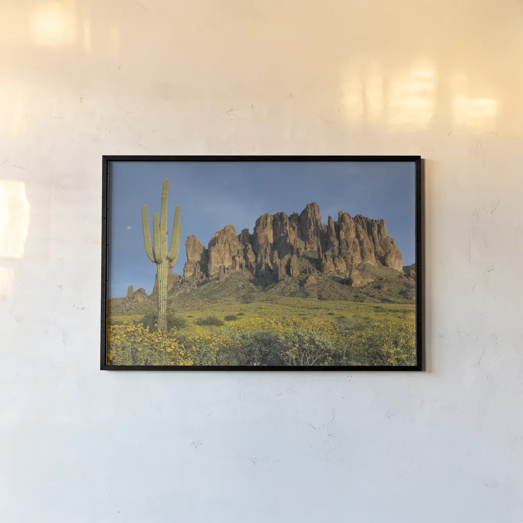 Superstition Mountains Saguaro by Alan Majchrowicz. shown as a paper print in a black flame. Available as a archival giclee rolled canvas, fine art paper, or poster print. SKU 84039i.