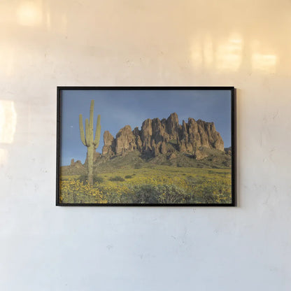 Superstition Mountains Saguaro by Alan Majchrowicz. shown as a paper print in a black flame. Available as a archival giclee rolled canvas, fine art paper, or poster print. SKU 84039i.