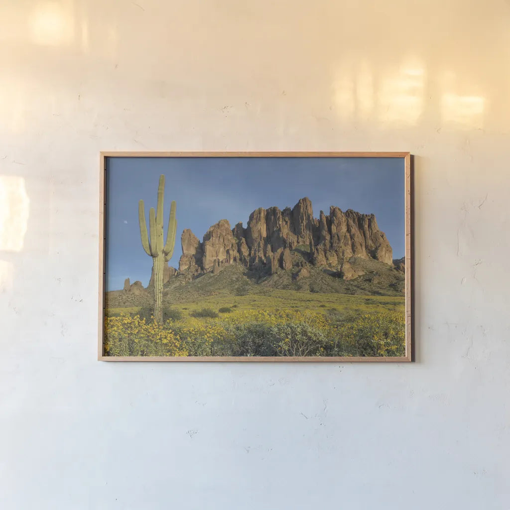 Superstition Mountains Saguaro by Alan Majchrowicz. shown as a paper print in a natural frame. Available as a archival giclee rolled canvas, fine art paper, or poster print. SKU 84039i.
