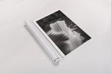 Tahquamenon Falls Michigan II BW by Alan Majchrowicz. shown as a rolled paper print. Available as archival giclee rolled canvas, fine art paper, or poster print. SKU 50170h.