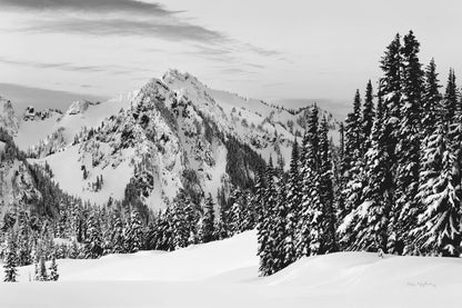 Tatoosh Range BW by Alan Majchrowicz. SKU 65706i. Archival Giclee Fine art print for wall decor.