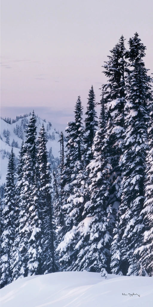 Tatoosh Range Panel III by Alan Majchrowicz