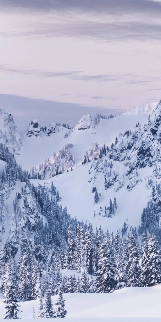 Tatoosh Range Triptych I by Alan Majchrowicz