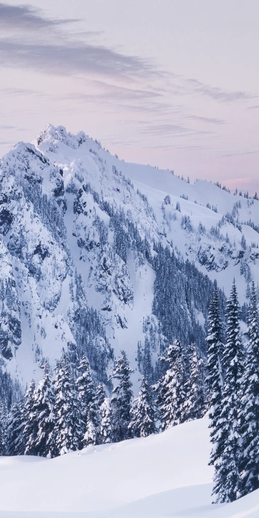 Tatoosh Range Triptych II by Alan Majchrowicz