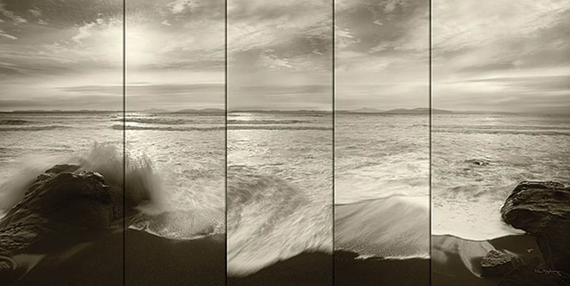 Tides and Waves by Alan Majchrowicz