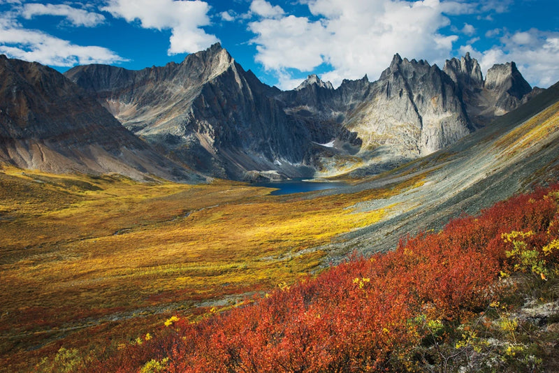 Tombstone Territorial Park Yukon by Alan Majchrowicz