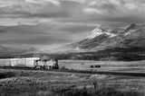 Train III BW by Alan Majchrowicz. SKU 84100i. Archival Giclee Fine art print for wall decor.