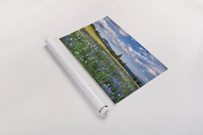 Trophy Meadows by Alan Majchrowicz. shown as a rolled paper print. Available as archival giclee rolled canvas, fine art paper, or poster print. SKU 36206i.