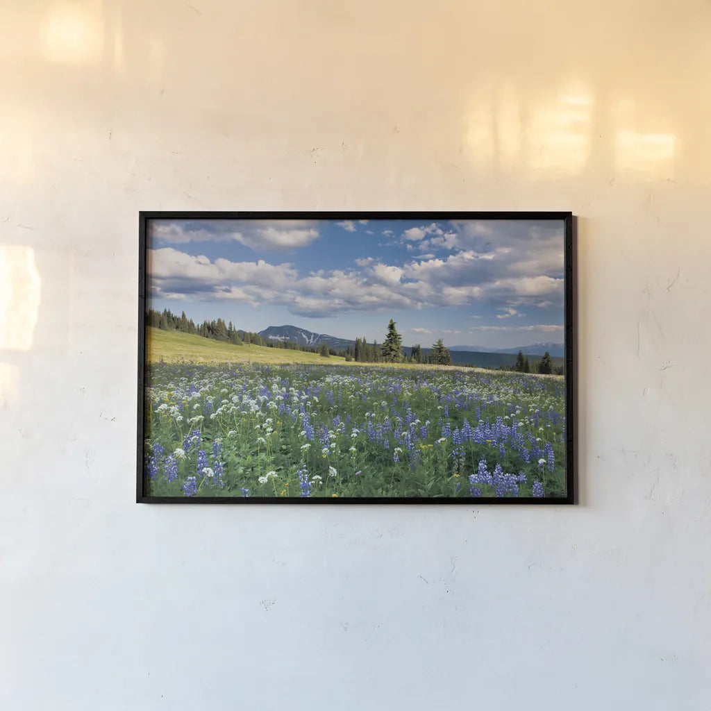 Trophy Meadows by Alan Majchrowicz. shown as a paper print in a black flame. Available as a archival giclee rolled canvas, fine art paper, or poster print. SKU 36206i.