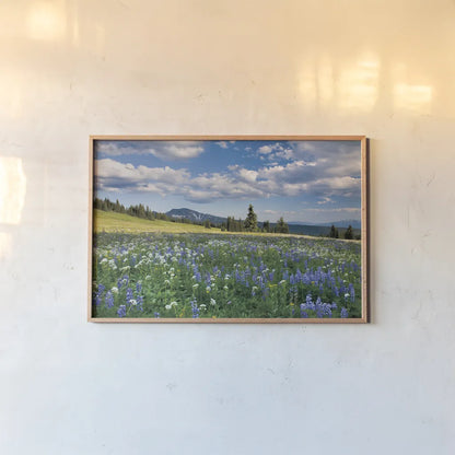 Trophy Meadows by Alan Majchrowicz. shown as a paper print in a natural frame. Available as a archival giclee rolled canvas, fine art paper, or poster print. SKU 36206i.