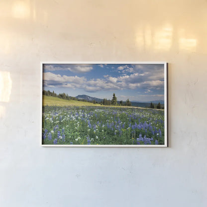 Trophy Meadows by Alan Majchrowicz. shown as a paper print in a white frame. Available as a archival giclee rolled canvas, fine art paper, or poster print. SKU 36206i.