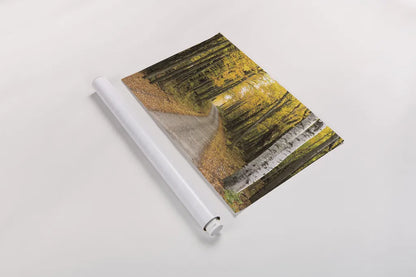 Vermont Country Road by Alan Majchrowicz. shown as a rolled paper print. Available as archival giclee rolled canvas, fine art paper, or poster print. SKU 12988i.