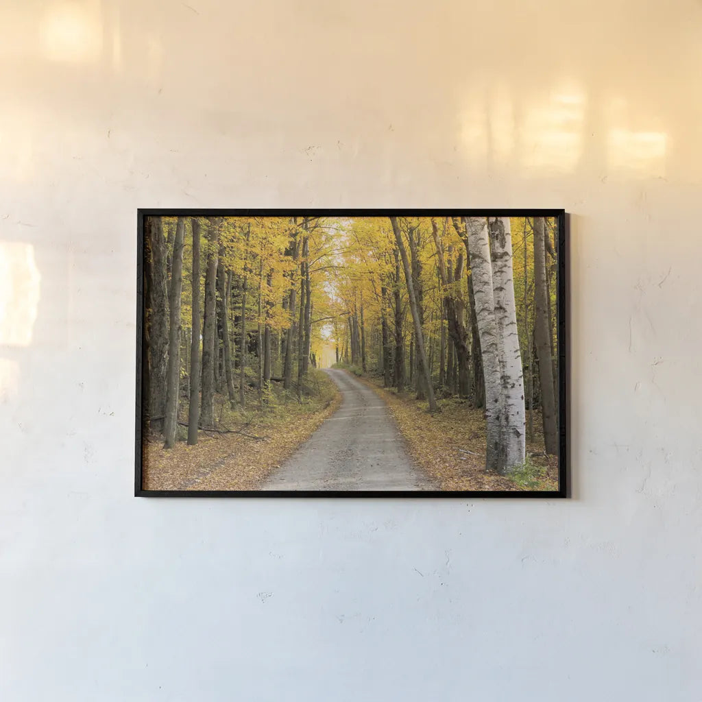 Vermont Country Road by Alan Majchrowicz. shown as a paper print in a black flame. Available as a archival giclee rolled canvas, fine art paper, or poster print. SKU 12988i.