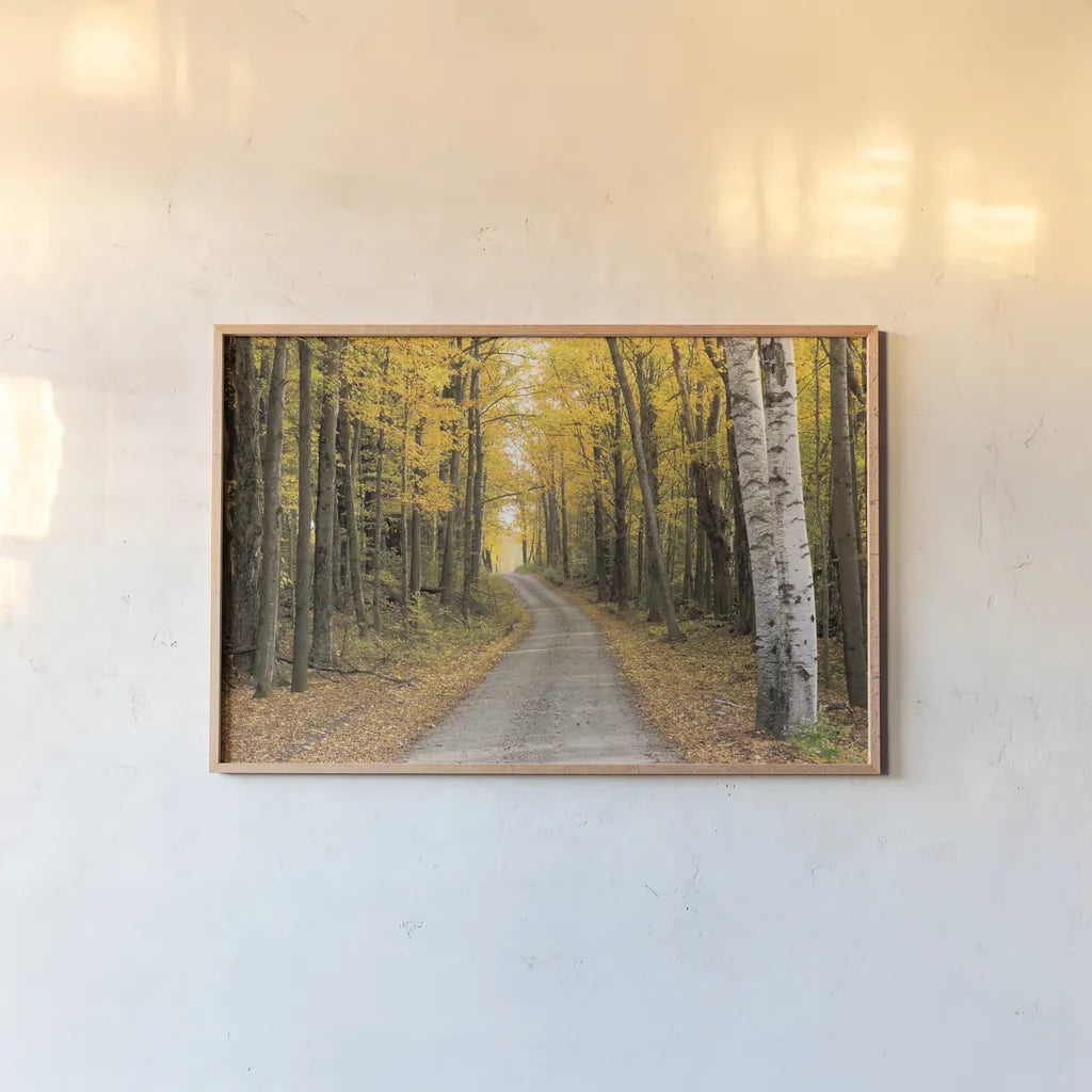 Vermont Country Road by Alan Majchrowicz. shown as a paper print in a natural frame. Available as a archival giclee rolled canvas, fine art paper, or poster print. SKU 12988i.