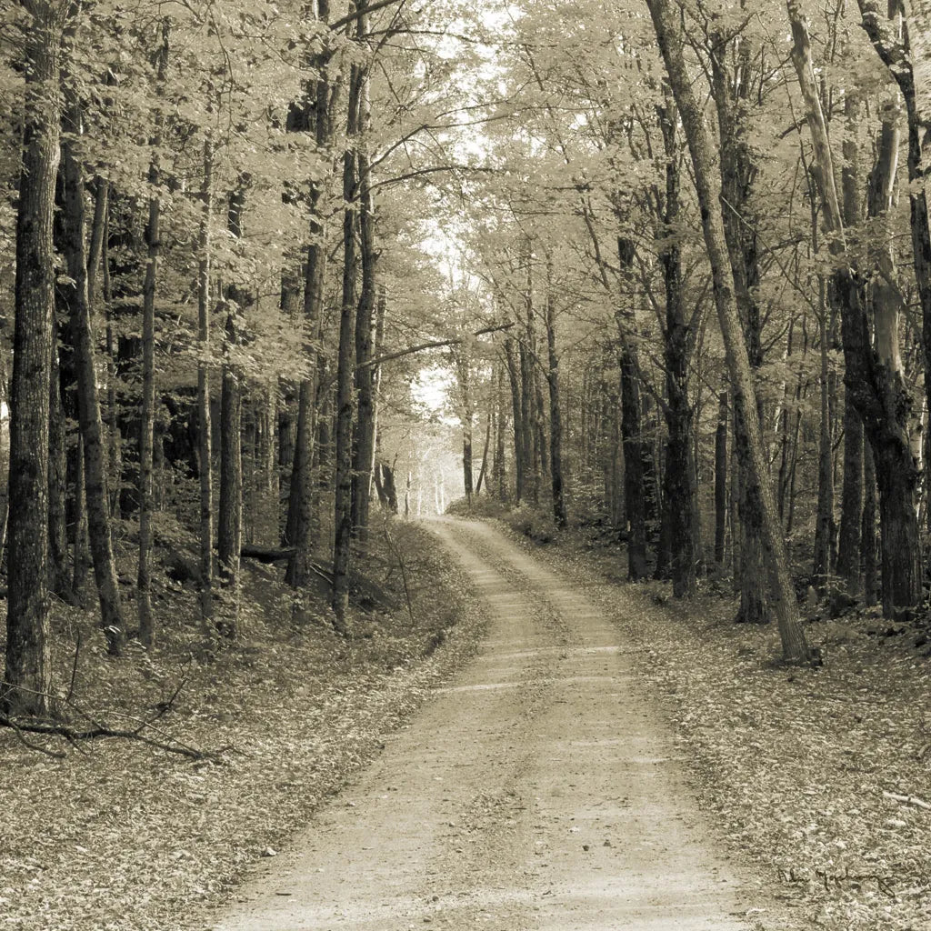 Vermont Country Road Sepia Crop by Alan Majchrowicz. SKU 19982a. Archival Giclee Fine art print for wall decor.