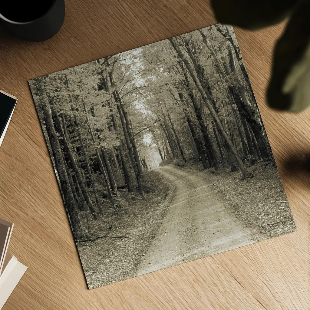 Vermont Country Road Sepia Crop by Alan Majchrowicz. Shown as a detailed flat fine art print, highlighting archival giclee quality. Available as an archival giclee rolled canvas, fine art paper, or poster print. SKU 19982a.