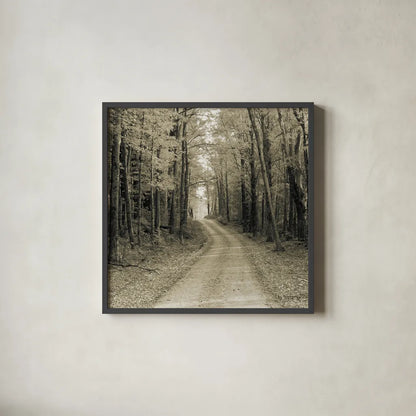 Vermont Country Road Sepia Crop by Alan Majchrowicz. Shown in a sleek black glass frame for a contemporary gallery look. Available as an archival giclee rolled canvas, fine art paper, or poster print. SKU 19982a.