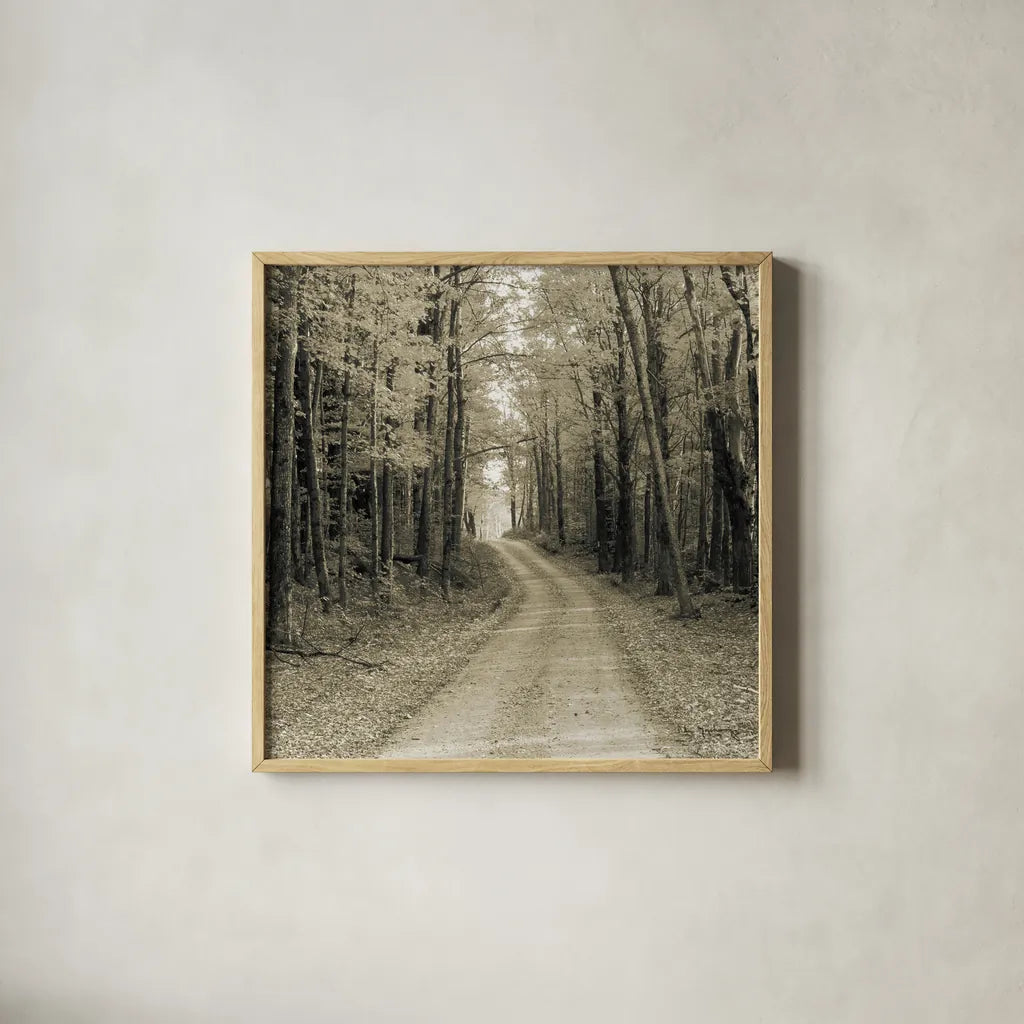 Vermont Country Road Sepia Crop by Alan Majchrowicz. Shown in a natural wood glass frame for a timeless modern aesthetic. Available as an archival giclee rolled canvas, fine art paper, or poster print. SKU 19982a.