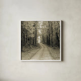 Vermont Country Road Sepia Crop by Alan Majchrowicz. Shown in a crisp white glass frame for a clean and minimalist style. Available as an archival giclee rolled canvas, fine art paper, or poster print. SKU 19982a.