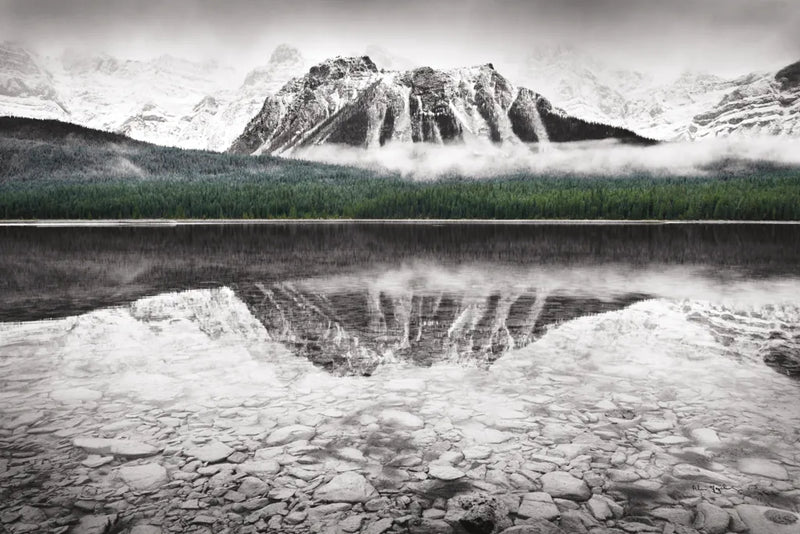 Waterfowl Lake I BW with Color by Alan Majchrowicz. SKU 28183i. Archival Giclee Fine art print for wall decor.