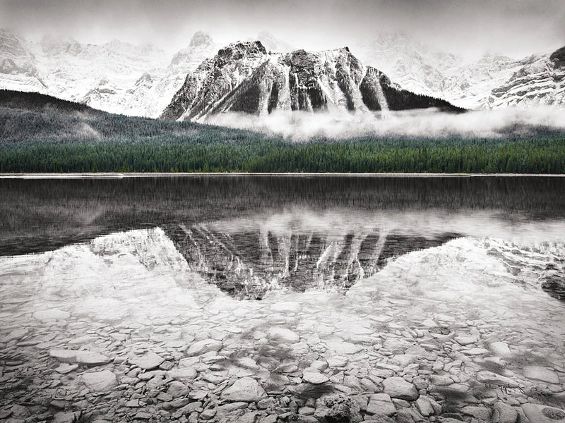 Waterfowl Lake I BW with Color Crop by Alan Majchrowicz
