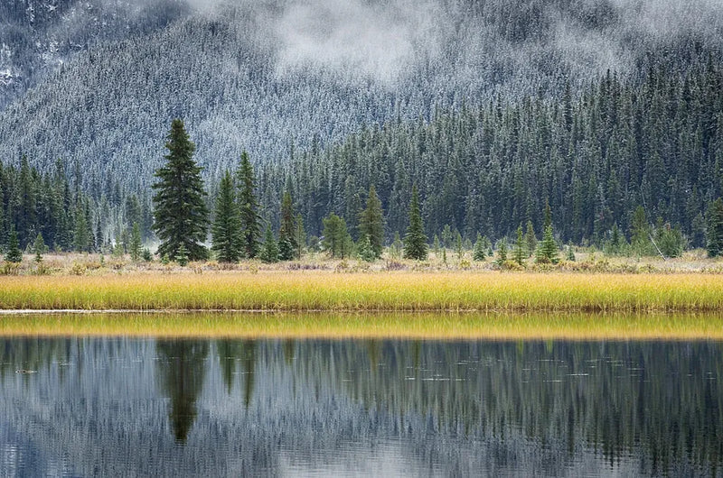 Waterfowl Lake II by Alan Majchrowicz. SKU 28088i. Archival Giclee Fine art print for wall decor.