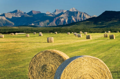Waterton Hay Bales by Alan Majchrowicz. SKU 53741i. Archival Giclee Fine art print for wall decor.