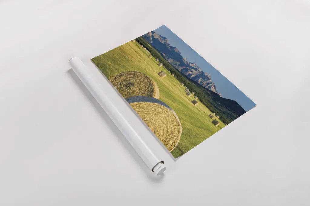 Waterton Hay Bales by Alan Majchrowicz. shown as a rolled paper print. Available as archival giclee rolled canvas, fine art paper, or poster print. SKU 53741i.