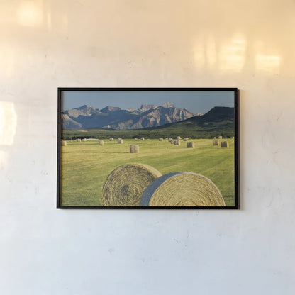 Waterton Hay Bales by Alan Majchrowicz. shown as a paper print in a black flame. Available as a archival giclee rolled canvas, fine art paper, or poster print. SKU 53741i.