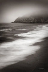 Whale Cove Beach by Alan Majchrowicz. SKU 44176h. Archival Giclee Fine art print for wall decor.