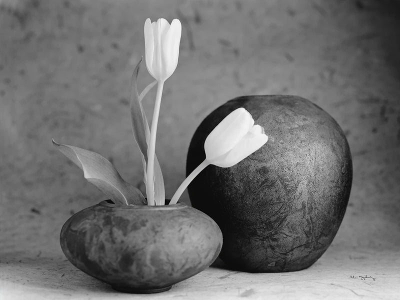 White Tulips and raku pots I by Alan Majchrowicz