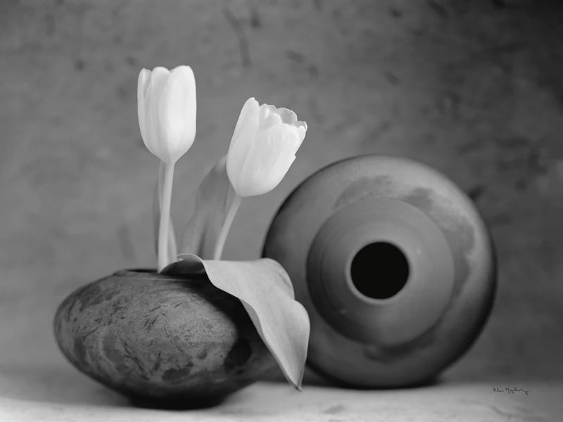 White Tulips and raku pots II by Alan Majchrowicz