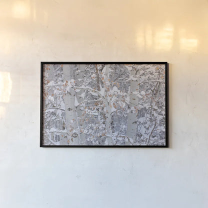 Winter Aspens Closeup by Alan Majchrowicz. shown as a paper print in a black flame. Available as a archival giclee rolled canvas, fine art paper, or poster print. SKU 60967i.