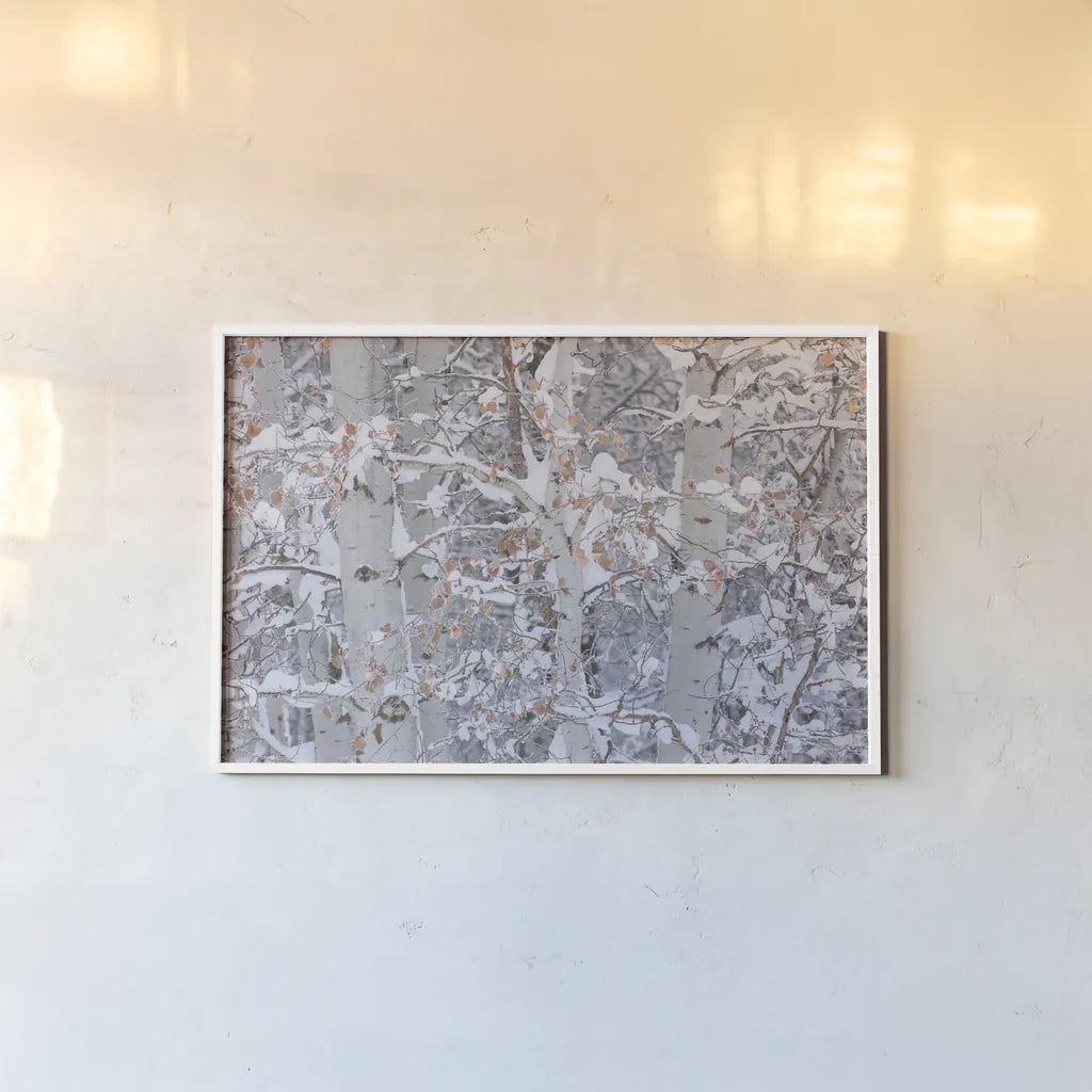 Winter Aspens Closeup by Alan Majchrowicz. shown as a paper print in a white frame. Available as a archival giclee rolled canvas, fine art paper, or poster print. SKU 60967i.