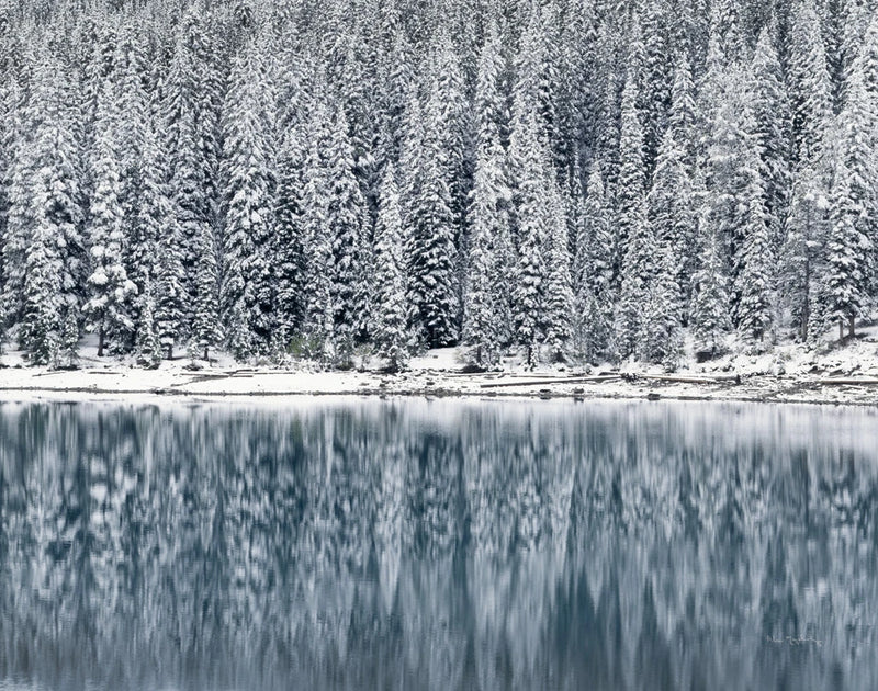 Winter Reflections by Alan Majchrowicz