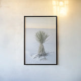 Yucca in White Sands National Monument by Alan Majchrowicz. shown as a paper print in a black flame. Available as a archival giclee rolled canvas, fine art paper, or poster print. SKU 61460h.