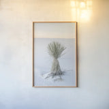 Yucca in White Sands National Monument by Alan Majchrowicz. shown as a paper print in a natural frame. Available as a archival giclee rolled canvas, fine art paper, or poster print. SKU 61460h.