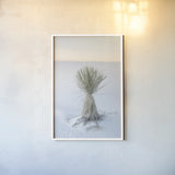 Yucca in White Sands National Monument by Alan Majchrowicz. shown as a paper print in a white frame. Available as a archival giclee rolled canvas, fine art paper, or poster print. SKU 61460h.