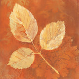 Autumn Leaves III by Albena Hristova. SKU 55452a. Archival Giclee Fine art print for wall decor.