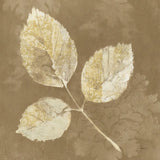Autumn Leaves White on Taupe III by Albena Hristova. SKU 55460a. Archival Giclee Fine art print for wall decor.