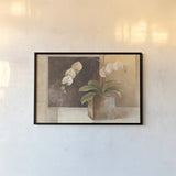 Contemporary Orchid by Albena Hristova. shown as a paper print in a black flame. Available as a archival giclee rolled canvas, fine art paper, or poster print. SKU 6375i.