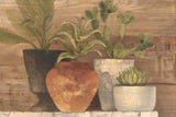 Desert Still Life Light Crop by Albena Hristova. SKU 51854i. Archival Giclee Fine art print for wall decor.